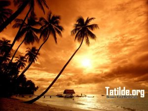 Tatil Wallpaper – Tatil Duvar Kağıtları - görsel 5