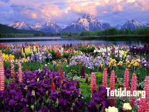 Tatil Wallpaper – Tatil Duvar Kağıtları - görsel 6