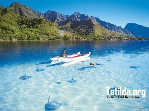 Tatil Wallpaper – Tatil Duvar Kağıtları - görsel 8