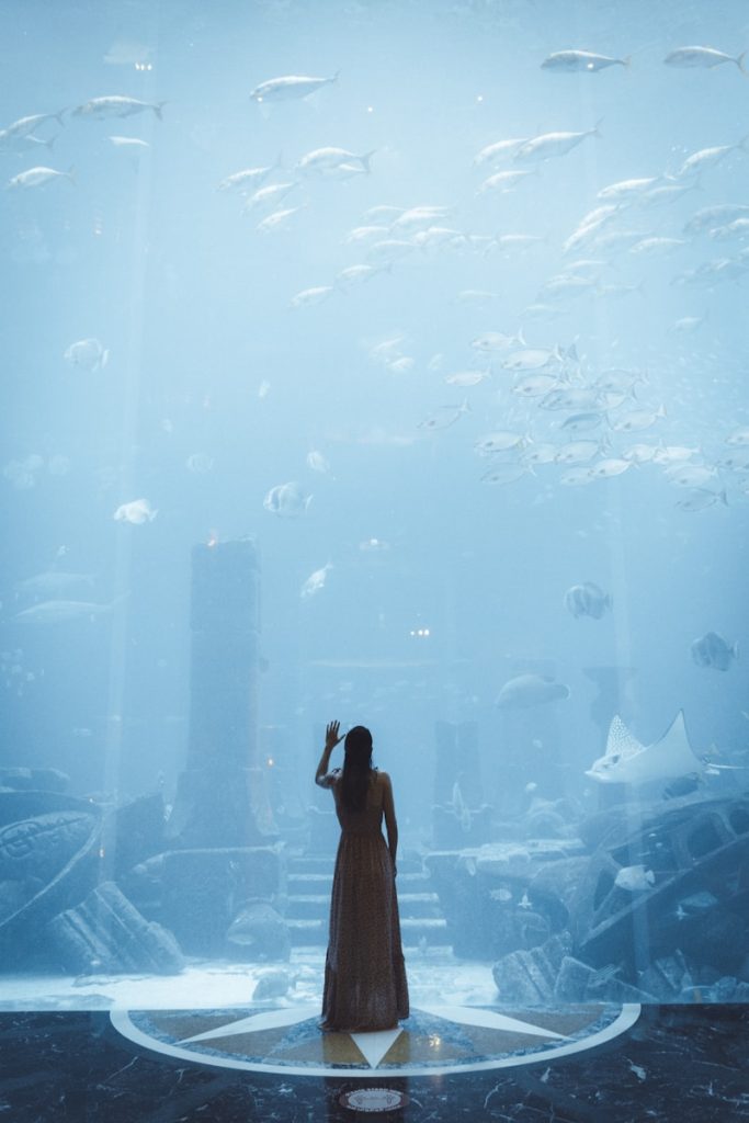 a person looking at fish in a tank