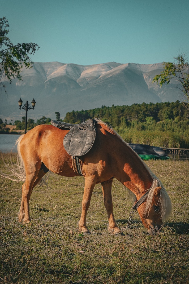 A horse with a hat on its head grazing in a field