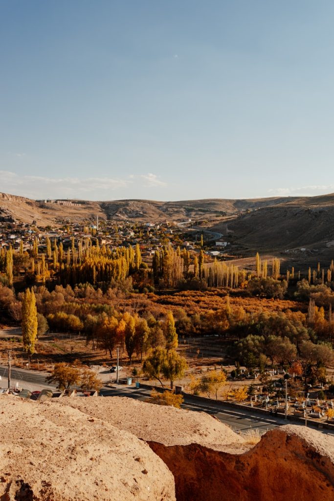 a landscape with trees and hills