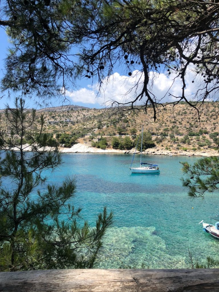 white boat on body of water near green trees during daytime
